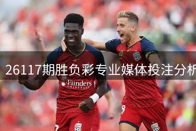 26117期胜负彩专业媒体投注分析汇总